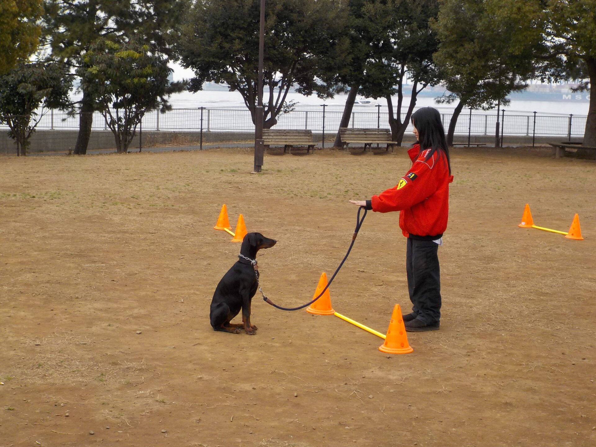 3月23日　犬のしつけ教室開催のお知らせ