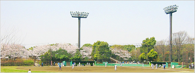Oi Central Seaside Park Sports Forest