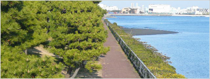 京濱島つばさ（羽翼）公園