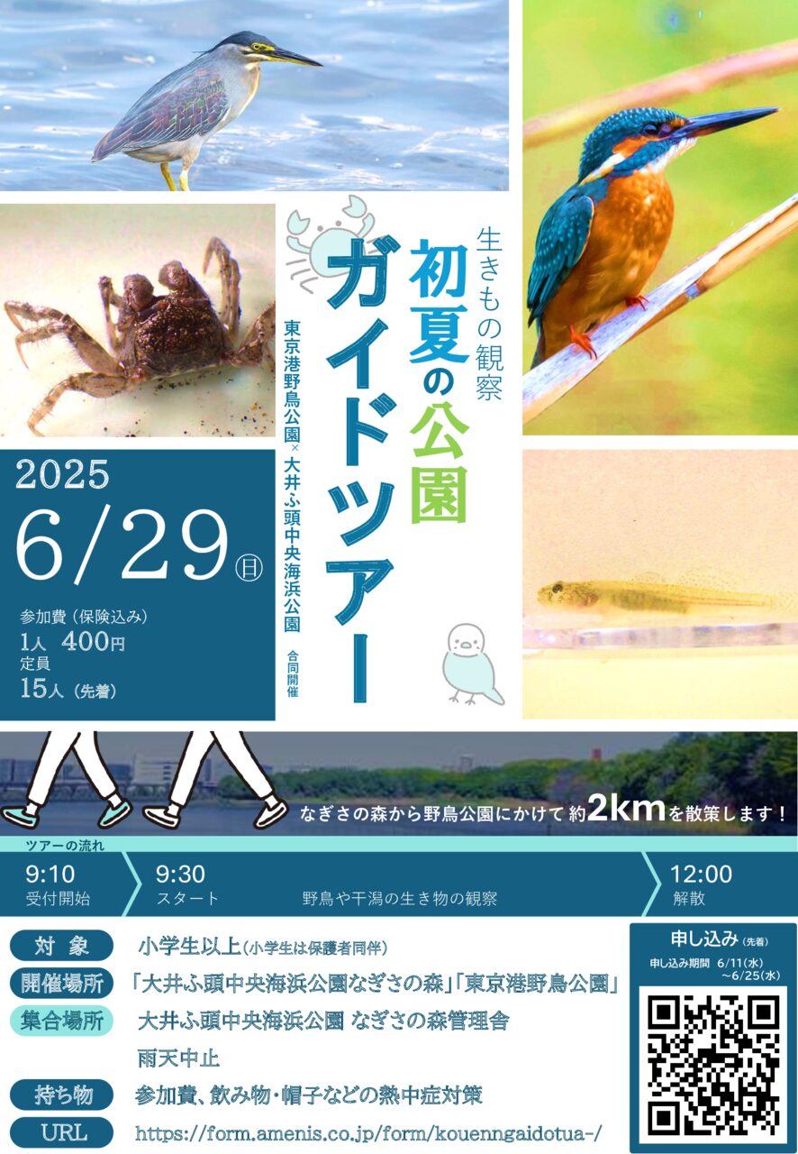 東京港野鳥公園との合同公園ガイドツアーを開催します！
