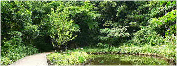 大井ふ頭緑道公園-