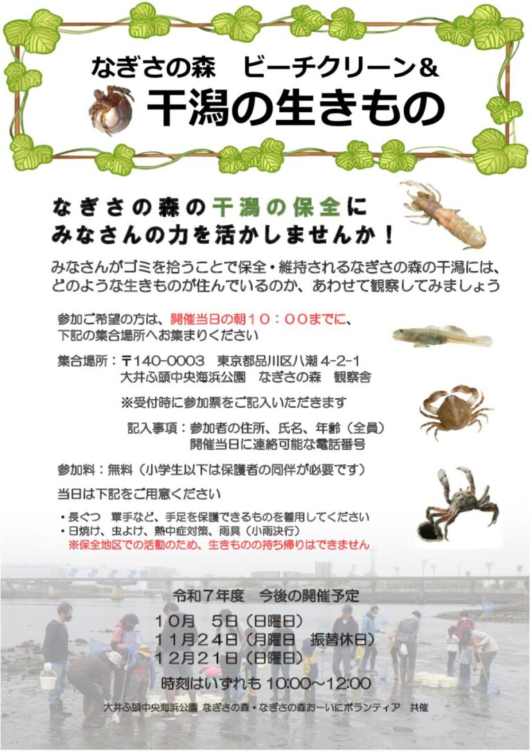 ビーチクDM2025後半のサムネイル
