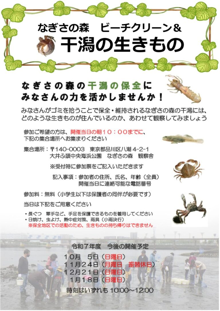 ビーチクDM2025後半1月までのサムネイル