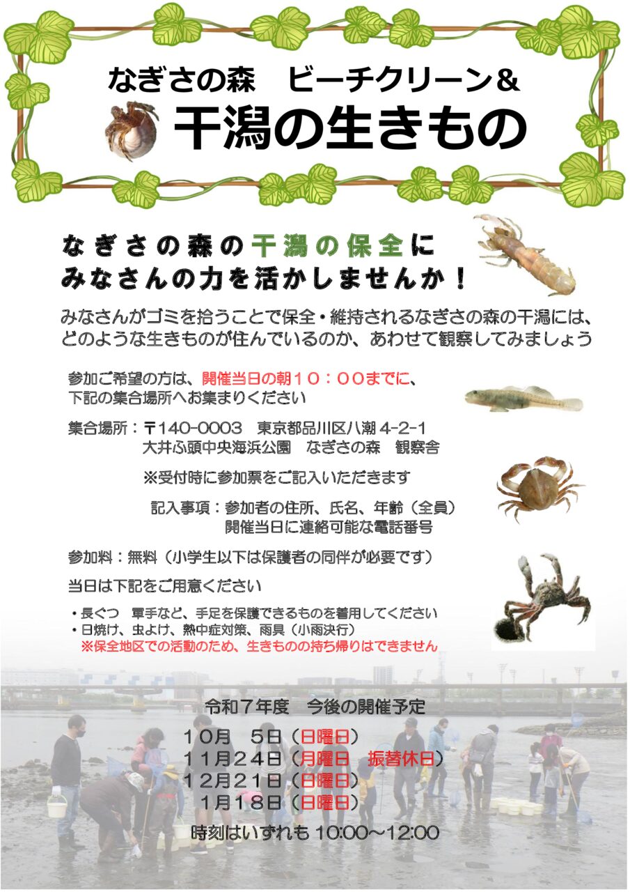 【2025年日程変更】なぎさの森ビーチクリーン＆干潟の生きもの