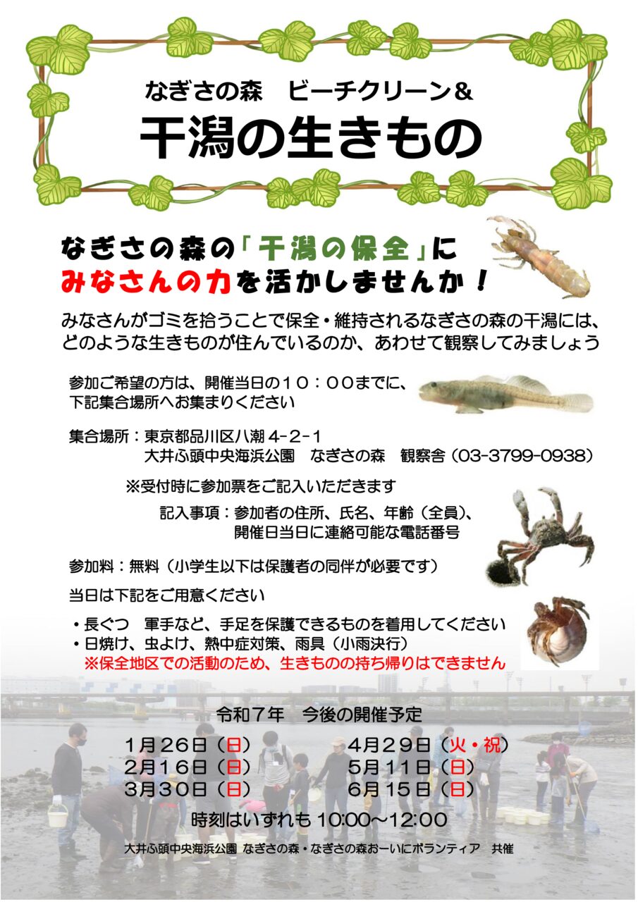 【2025年日程更新】なぎさの森ビーチクリーン＆干潟の生きもの