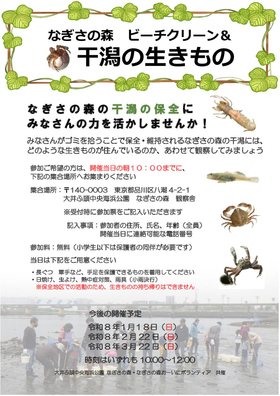 なぎさの森ビーチクリーン干潟の生きもの　令和8年1月～3月日程更新
