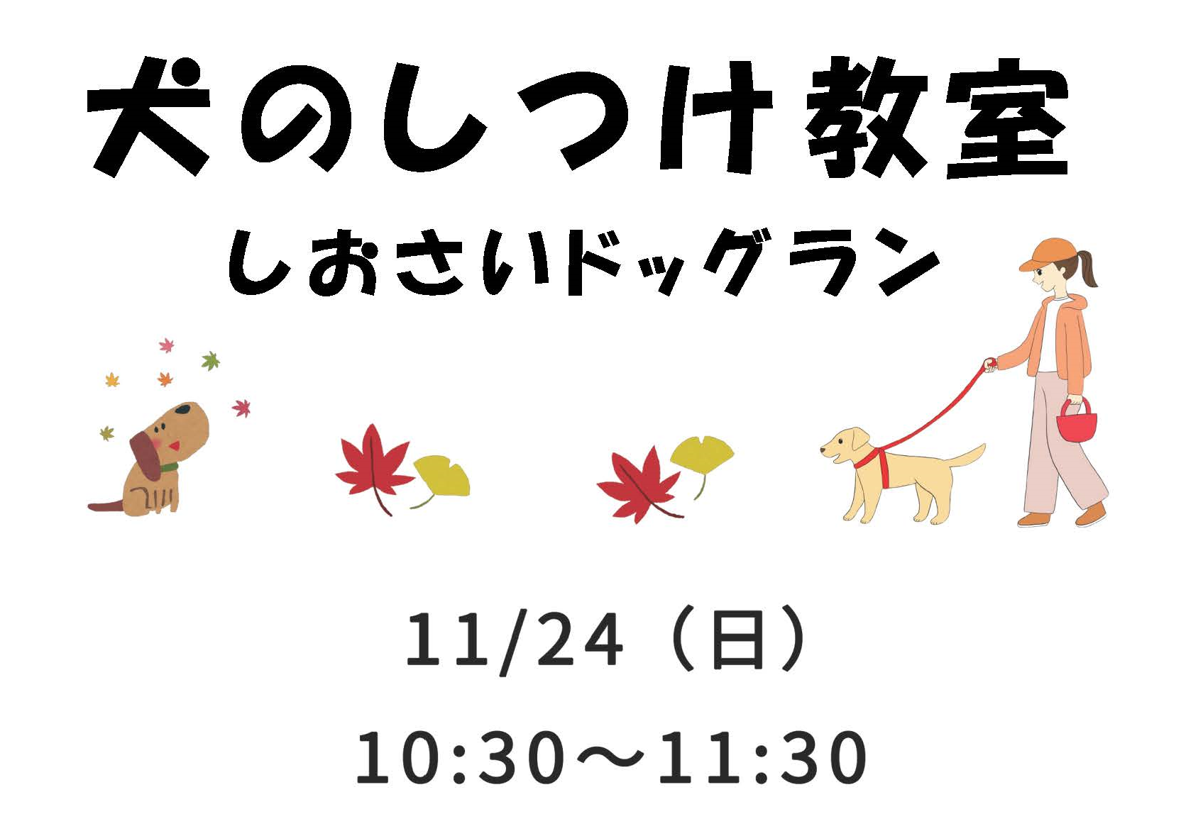 11月24日犬のしつけ教室開催＠しおさいドッグラン